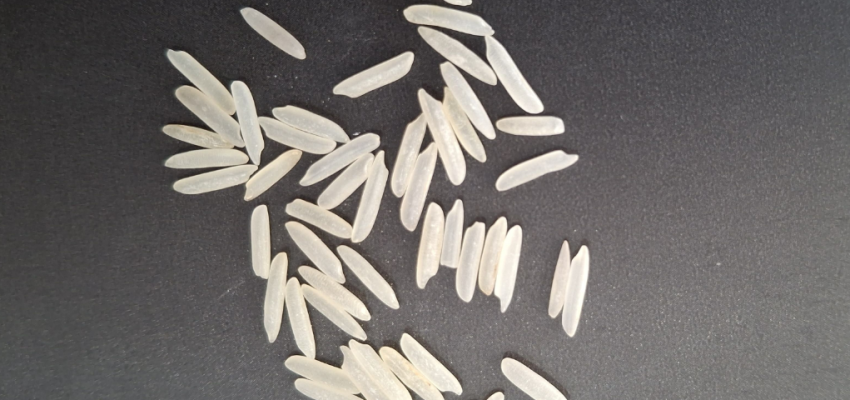 Basmati Rice