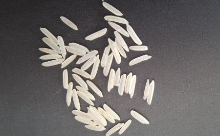Know  All About Basmati Rice